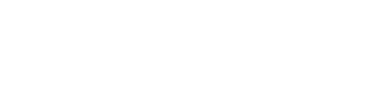 logo img