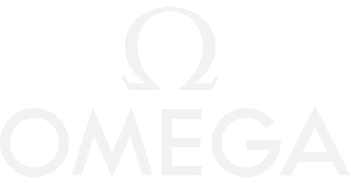 logo img